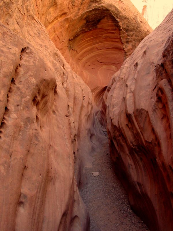 04160302LittleWildHorse (1033)